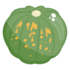 Zucca icon