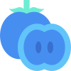 Persimmon icon