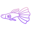 Guppy Fish icon
