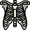 Skelett icon