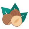 Nuts icon