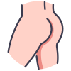 Anatomy icon