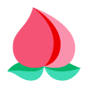 中国の桃 icon