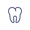 Molar icon