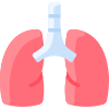 Lungs icon