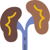 Kidneys icon