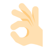 ok-mão-pele-tipo-1 icon