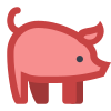 Cerdo icon