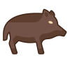 Wild Boar icon