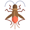 Boxelder Bug icon