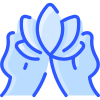 Fiore icon