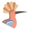 Hoopoe icon