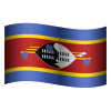 Эсватини icon
