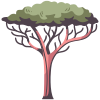 Tree icon