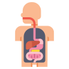 Digestion icon