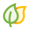 Leaves icon