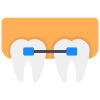 Orthodontic icon