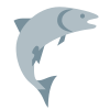 Salmon icon