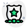 Honorary mention star grade badge of the Homeland security department officers icon