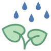 Растение под дождем icon