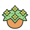 Begonia icon