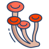 Fungi Velonosi icon