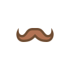 Moustache d'Hercule Poirot icon