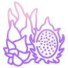 Dragon Fruit icon