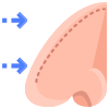 Rhinoplasty icon