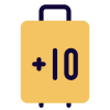 Ten plus KG baggage capacity for international travel limit icon