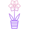 Amaryllis icon