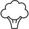 Broccoli icon