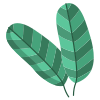 Guava icon