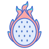 Fruit du dragon icon