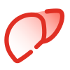 Liver icon