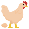 Poultry icon