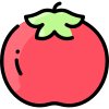 Tomate icon