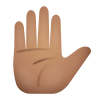 mão levantada-tom de pele médio icon