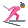 越野滑雪皮肤类型 4 icon