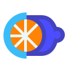 Citrus icon