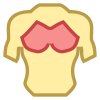 Chest icon