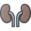 Kidneys icon