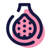 Fig Fruit icon