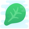 菠菜 icon