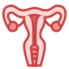 Uterus icon