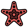 Starfish icon