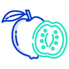 Guava icon