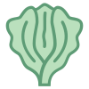 生菜 icon