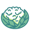 Cauliflower icon