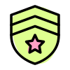 Defence officer with double stripe with shield and star icon